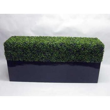 Boxwood Hedge Planterbox