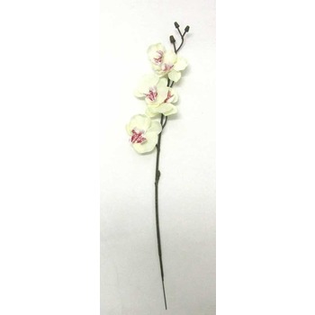 Bulk Buy Orchid White Pink (6 in Hessian Bag)