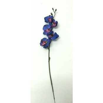 Bulk Buy Orchid Mystic Blue (6 in Hessian bag)