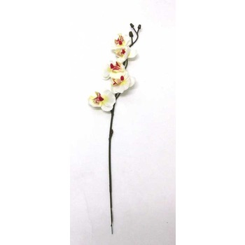 Bulk Buy Orchid White/Yellow Stem (6 in hessian bag)