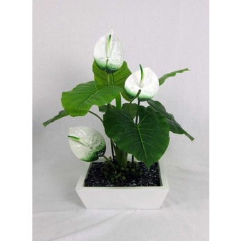 White Flowering Anthirium Planter