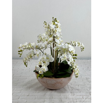 White Orchid Bowl Arrangement
