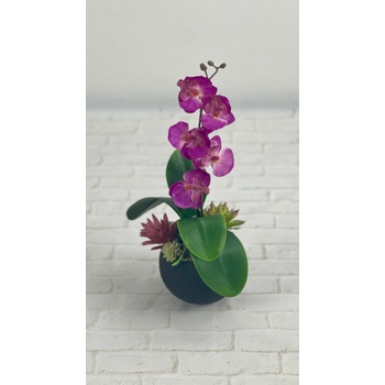 Lava Rock Orchid