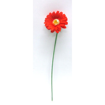 Gerbera