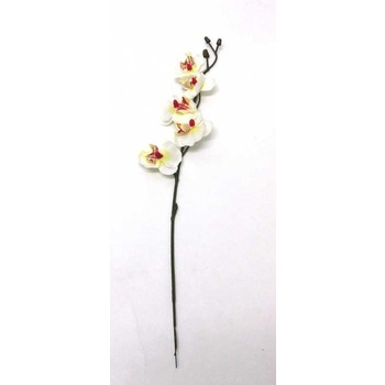 Bulk Buy Orchid Stem