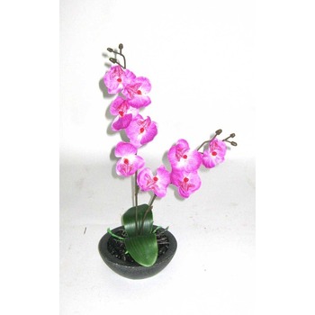 Cerise Orchid Arrangement