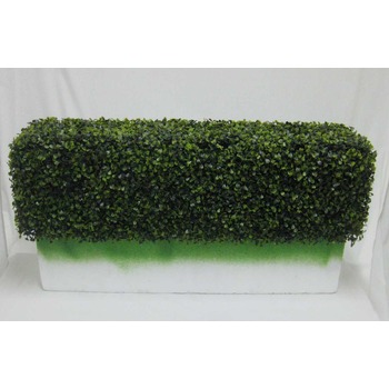 Boxwood Hedge Insert