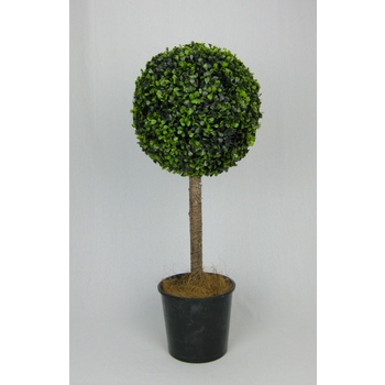 Boxwood Topiary