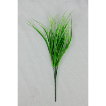Green Grass White Edge