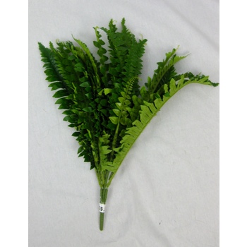 Flat Pack Fern