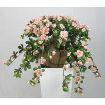 Pink Azalea Hanging Basket