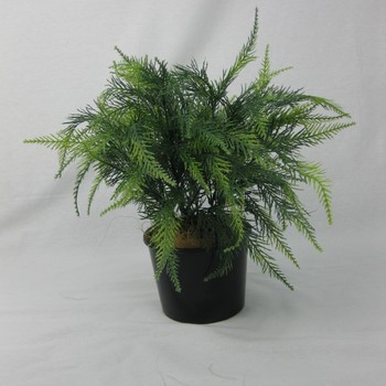 UV Cypress foliage