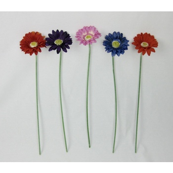 Bulk Buy Gerberas