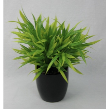 Lime & Green Grass Pot