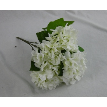 White Hydrangea Bush