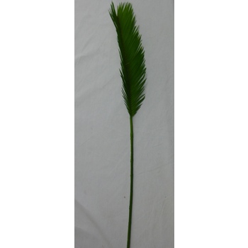 Plastic Cycad Frond