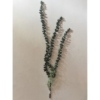 Plastic Olive Tear Spray 