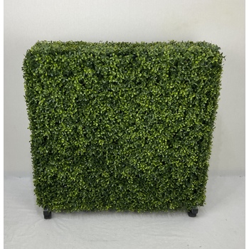 Outdoor Boxwood Hedge Hire