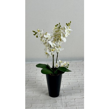 White Orchid Vase Arrangement