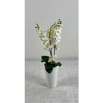	 White Orchid Vase Arrangement