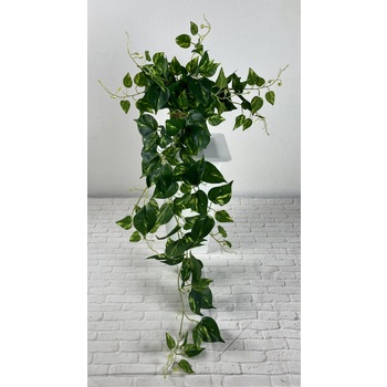 Hanging Varigated Pothos Trail