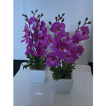  Cerise Orchids in Ceramic Pot Set 2