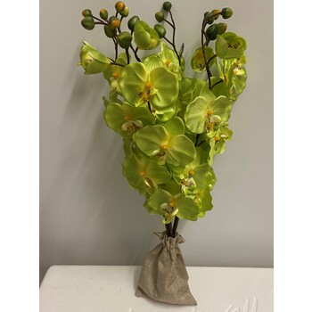 Green Orchids in Hessian Bag