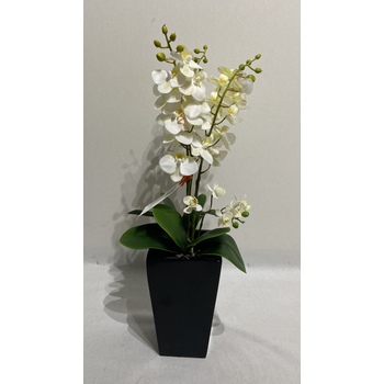 White Orchid in Black Fibreglass container
