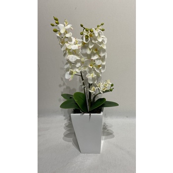 White Orchid in White Fibreglass container