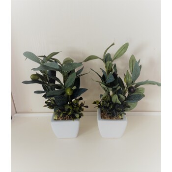 A Set of 2 Olive Arrangements