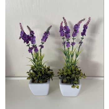 Set 2 Lavender in containers