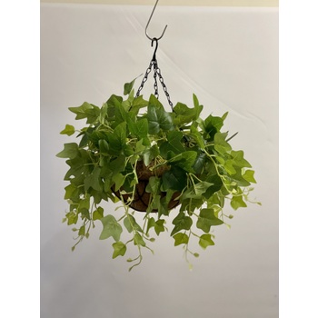 R/T Ivy Hanging Basket