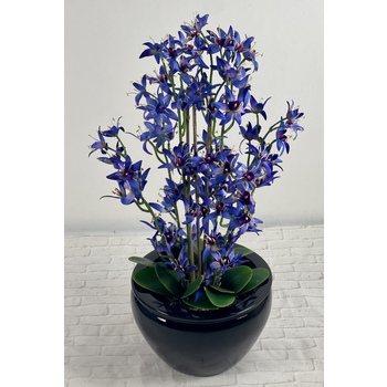 Blue Orchid Bowl Arrangement