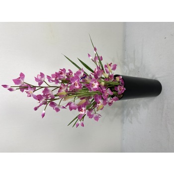 Cerise Orchids in Fibreglass Container