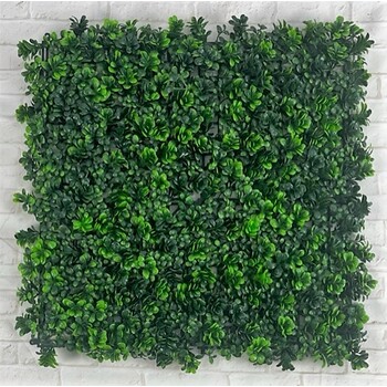 Buxus Hedge Panel