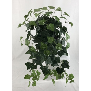 Ivy Hanging Basket Hire