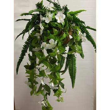 White Morning Glory & Fern Hanging Basket