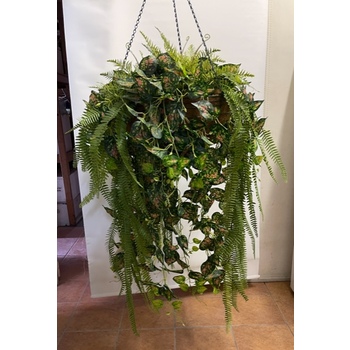 BIG Red Pothos & Fern Hanging Basket