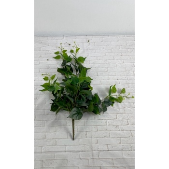 Green Pothos Trail flat pac