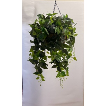 Green Pothos Hanging Basket